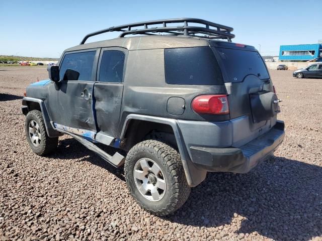 2007 Toyota FJ Cruiser