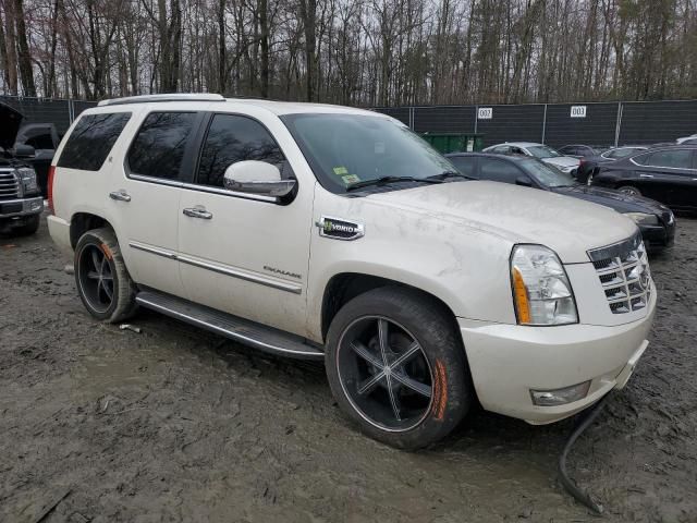 2010 Cadillac Escalade Hybrid