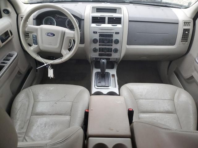 2008 Ford Escape XLT