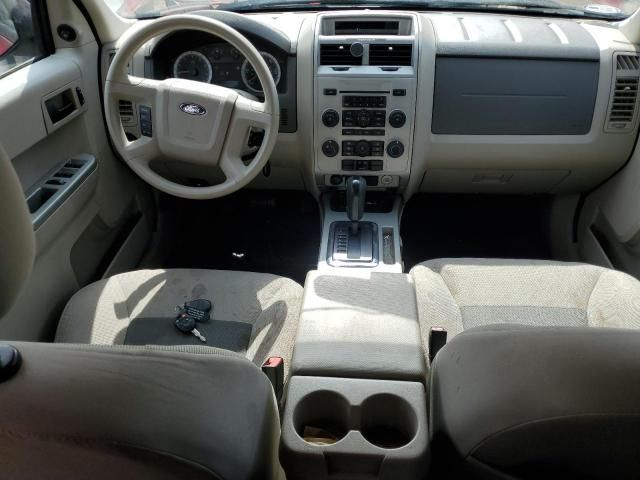 2008 Ford Escape XLT