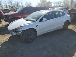 Salvage cars for sale at Baltimore, MD auction: 2023 Tesla Model 3