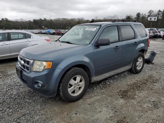 2011 Ford Escape XLT