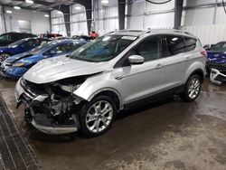 Salvage cars for sale at Ham Lake, MN auction: 2015 Ford Escape Titanium