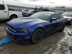 Salvage cars for sale from Copart Arlington, WA: 2013 Ford Mustang