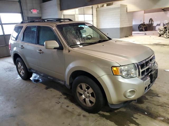 2011 Ford Escape Limited