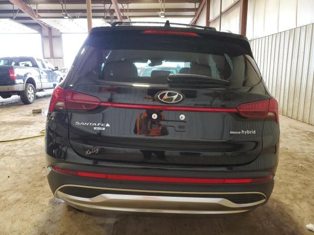 2023 Hyundai Santa FE Blue