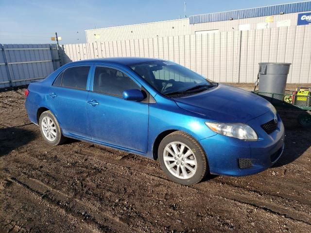 2010 Toyota Corolla Base