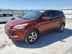 Salvage cars for sale at Walton, KY auction: 2014 Ford Escape SE