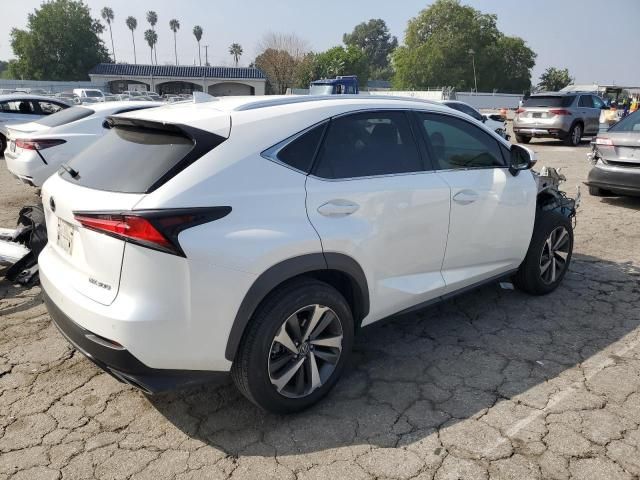 2020 Lexus NX 300