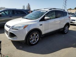 Salvage cars for sale from Copart Hayward, CA: 2013 Ford Escape SEL