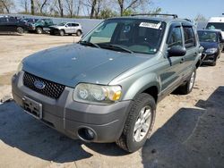 Salvage cars for sale at Bridgeton, MO auction: 2006 Ford Escape XLT