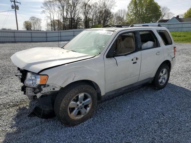 2010 Ford Escape Limited