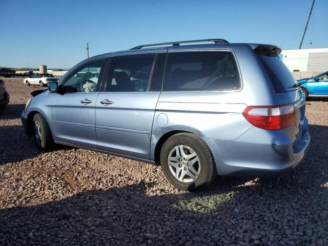 2005 Honda Odyssey EX