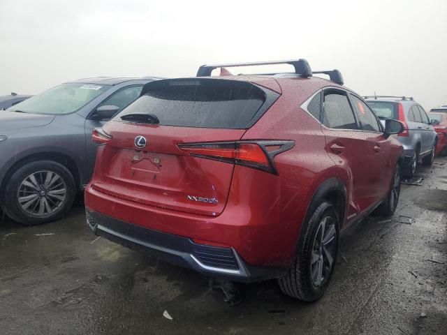 2020 Lexus NX 300H