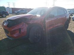 Salvage cars for sale from Copart Elgin, IL: 2020 Ford Escape SE Sport