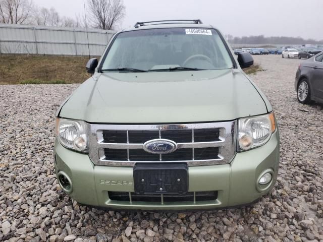 2008 Ford Escape XLT