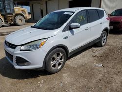 Salvage cars for sale from Copart Temple, TX: 2014 Ford Escape SE