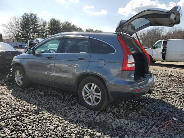 2010 Honda CR-V EXL