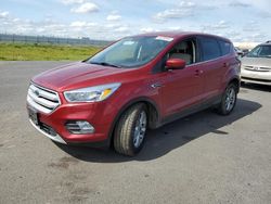 Ford Escape SE salvage cars for sale: 2017 Ford Escape SE