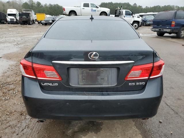 2010 Lexus ES 350