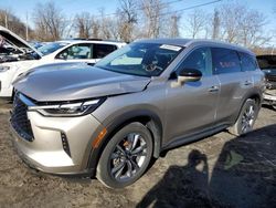 Salvage cars for sale from Copart Marlboro, NY: 2023 Infiniti QX60 Luxe