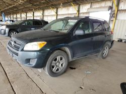 Salvage cars for sale from Copart Phoenix, AZ: 2010 Toyota Rav4