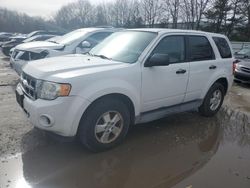 Vehiculos salvage en venta de Copart North Billerica, MA: 2011 Ford Escape XLS