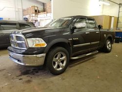 Dodge RAM 1500 salvage cars for sale: 2010 Dodge RAM 1500