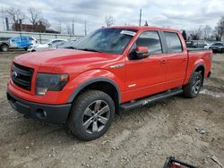 Ford salvage cars for sale: 2013 Ford F150 Supercrew