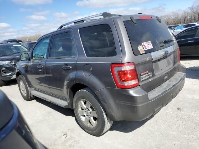 2011 Ford Escape Limited