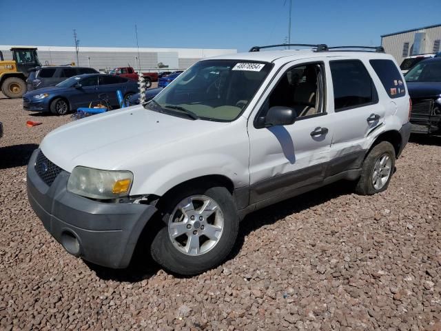 2005 Ford Escape XLT