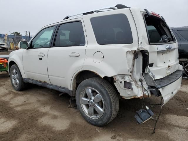 2011 Ford Escape Limited