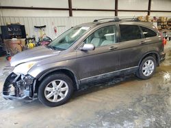 Honda salvage cars for sale: 2009 Honda CR-V EXL