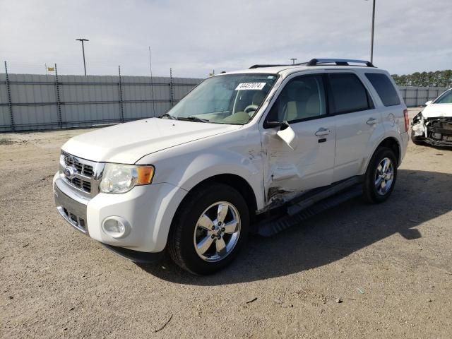 2011 Ford Escape Limited