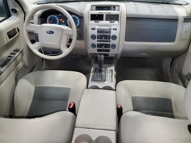 2008 Ford Escape XLT