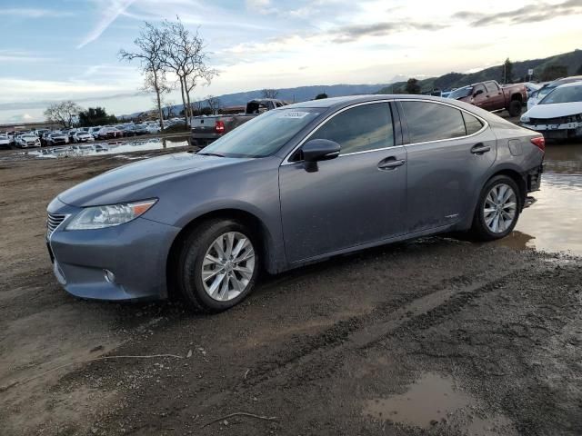 2014 Lexus ES 300H