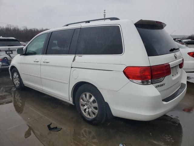 2010 Honda Odyssey EXL