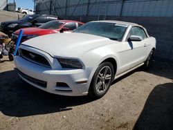 Salvage cars for sale from Copart Albuquerque, NM: 2013 Ford Mustang