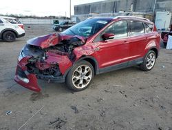 Ford Escape Titanium salvage cars for sale: 2014 Ford Escape Titanium