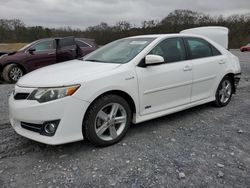 2014 Toyota Camry Hybrid for sale in Cartersville, GA