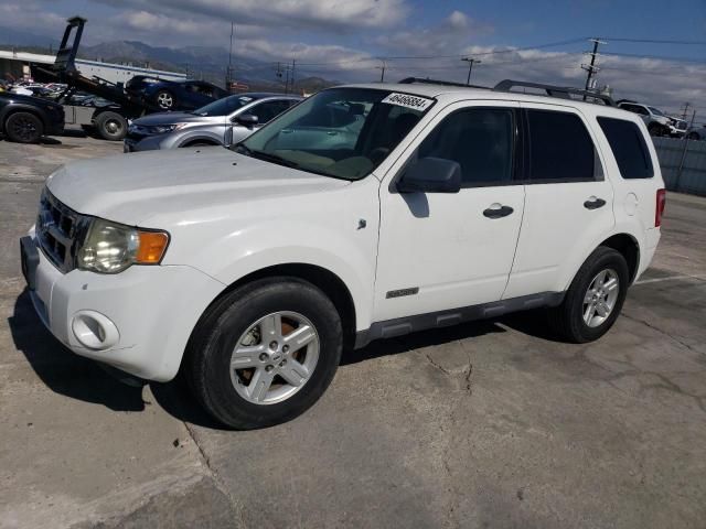 2008 Ford Escape HEV