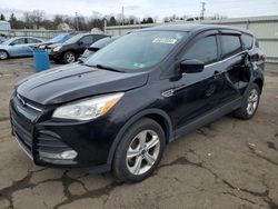 Ford salvage cars for sale: 2016 Ford Escape SE