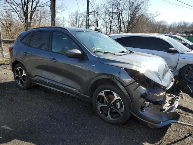 2023 Ford Escape ST Line Plus