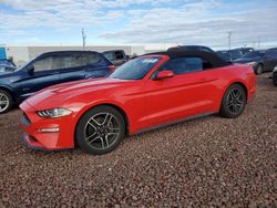 Salvage cars for sale from Copart Phoenix, AZ: 2019 Ford Mustang