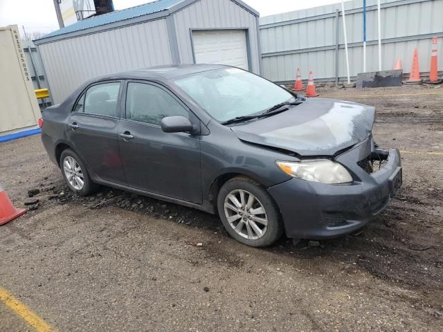 2009 Toyota Corolla Base