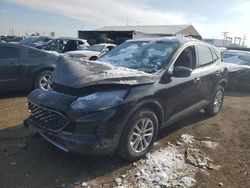 Salvage cars for sale at Brighton, CO auction: 2022 Ford Escape SE