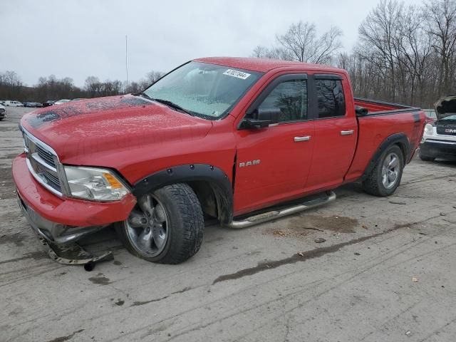 2010 Dodge RAM 1500