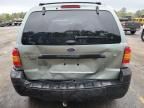 2007 Ford Escape XLT