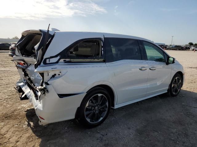 2024 Honda Odyssey Elite