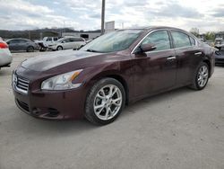 2014 Nissan Maxima S for sale in Lebanon, TN